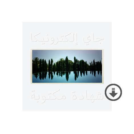 A Written Testimony Digital Album